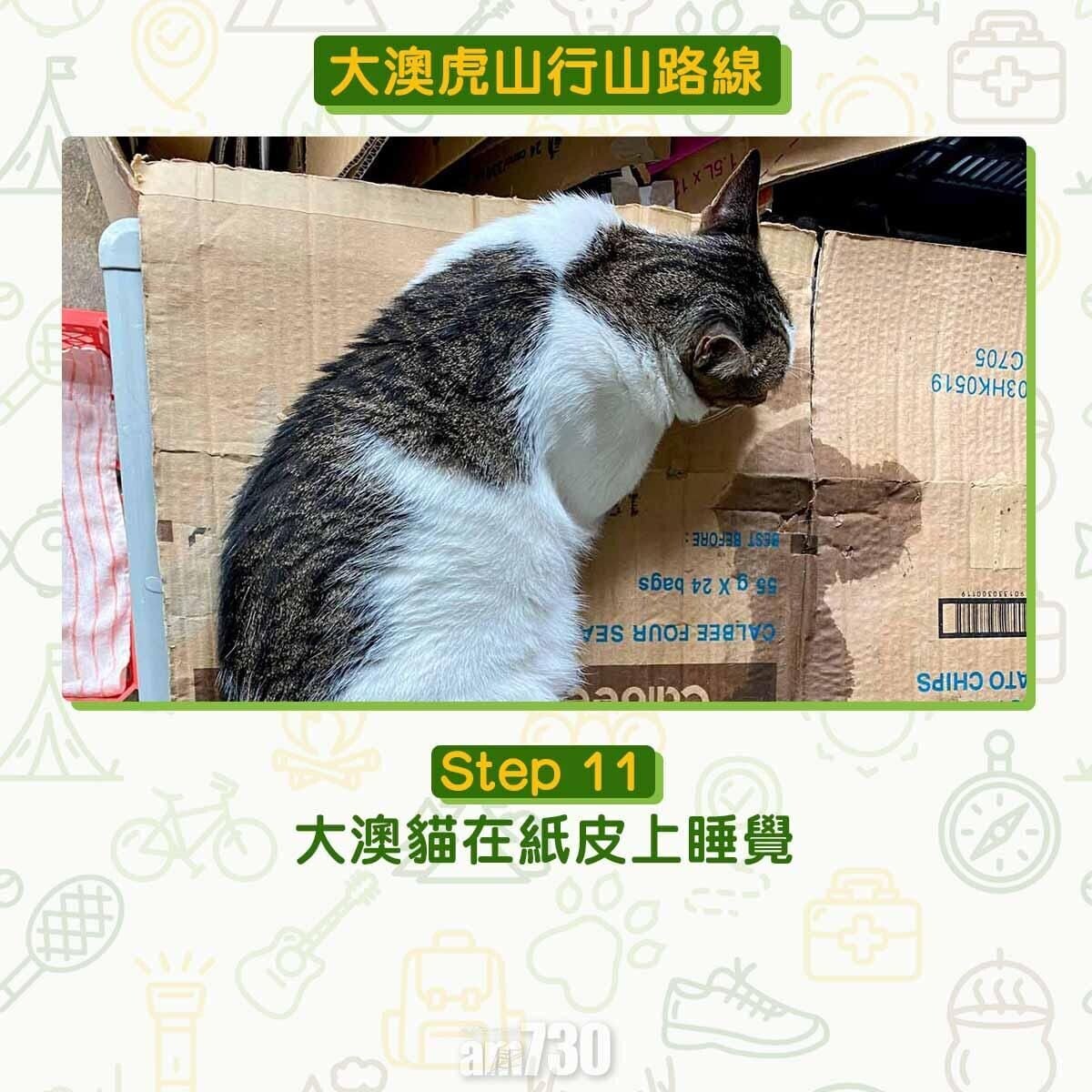 大澳虎山