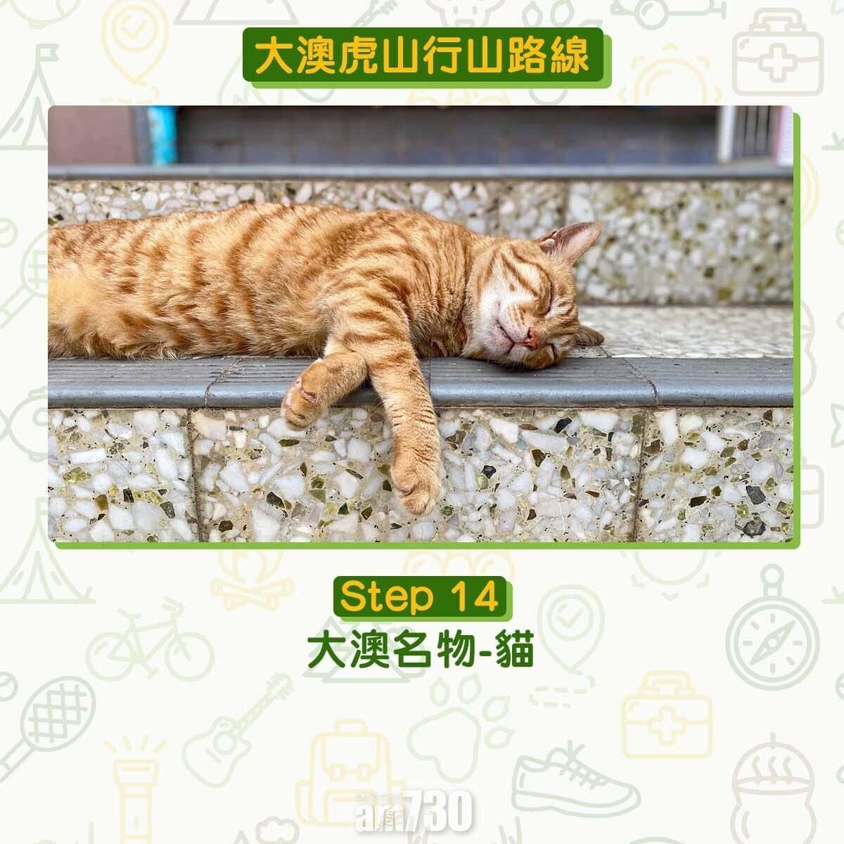 大澳虎山