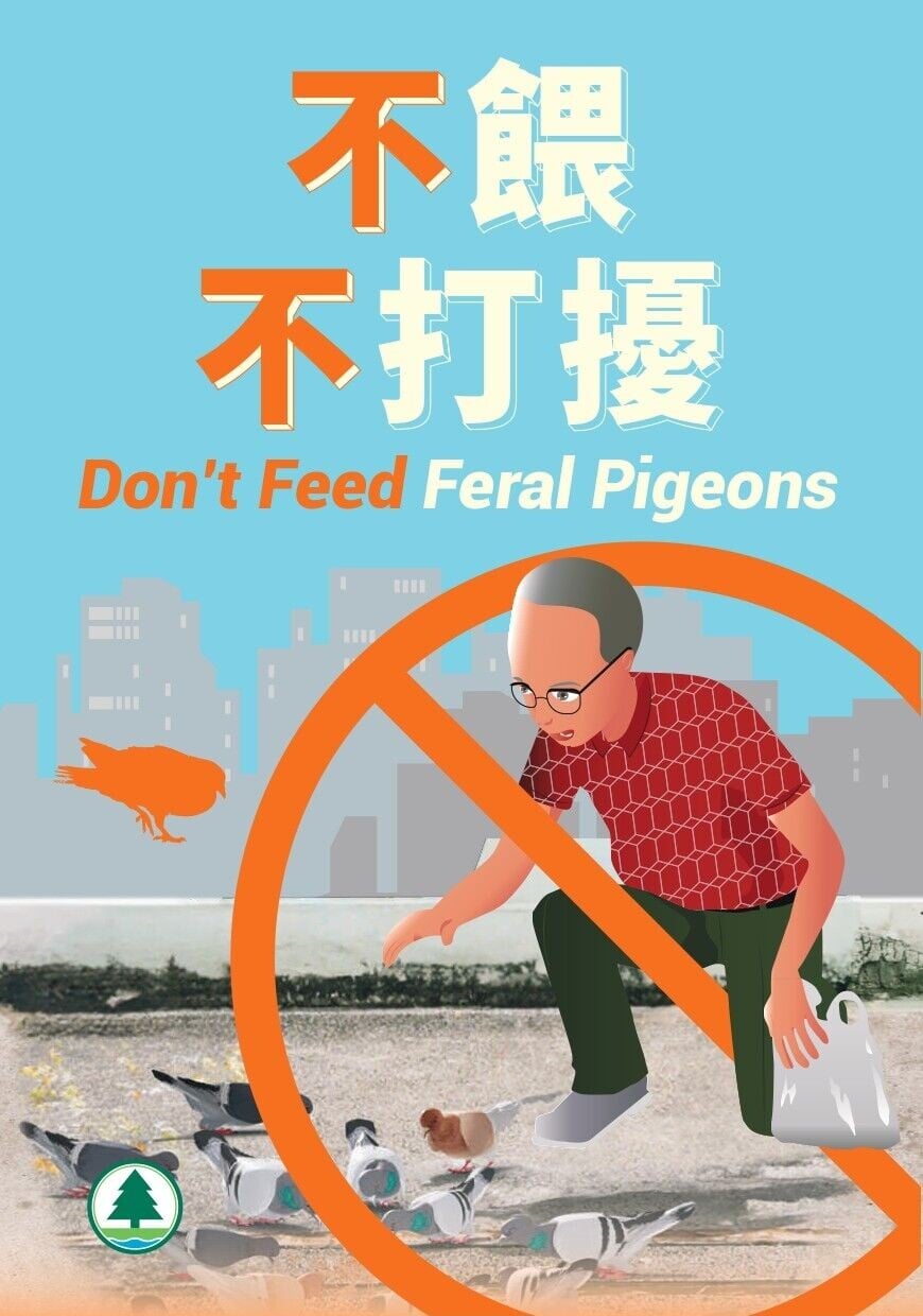 野生動物保護條例(第170章)非法餵飼野生動物包括猴子、野豬和野鳥等