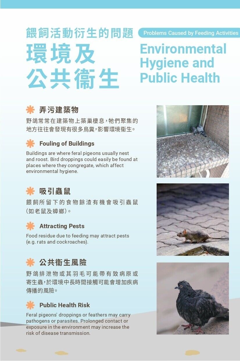 野生動物保護條例(第170章)非法餵飼野生動物包括猴子、野豬和野鳥等