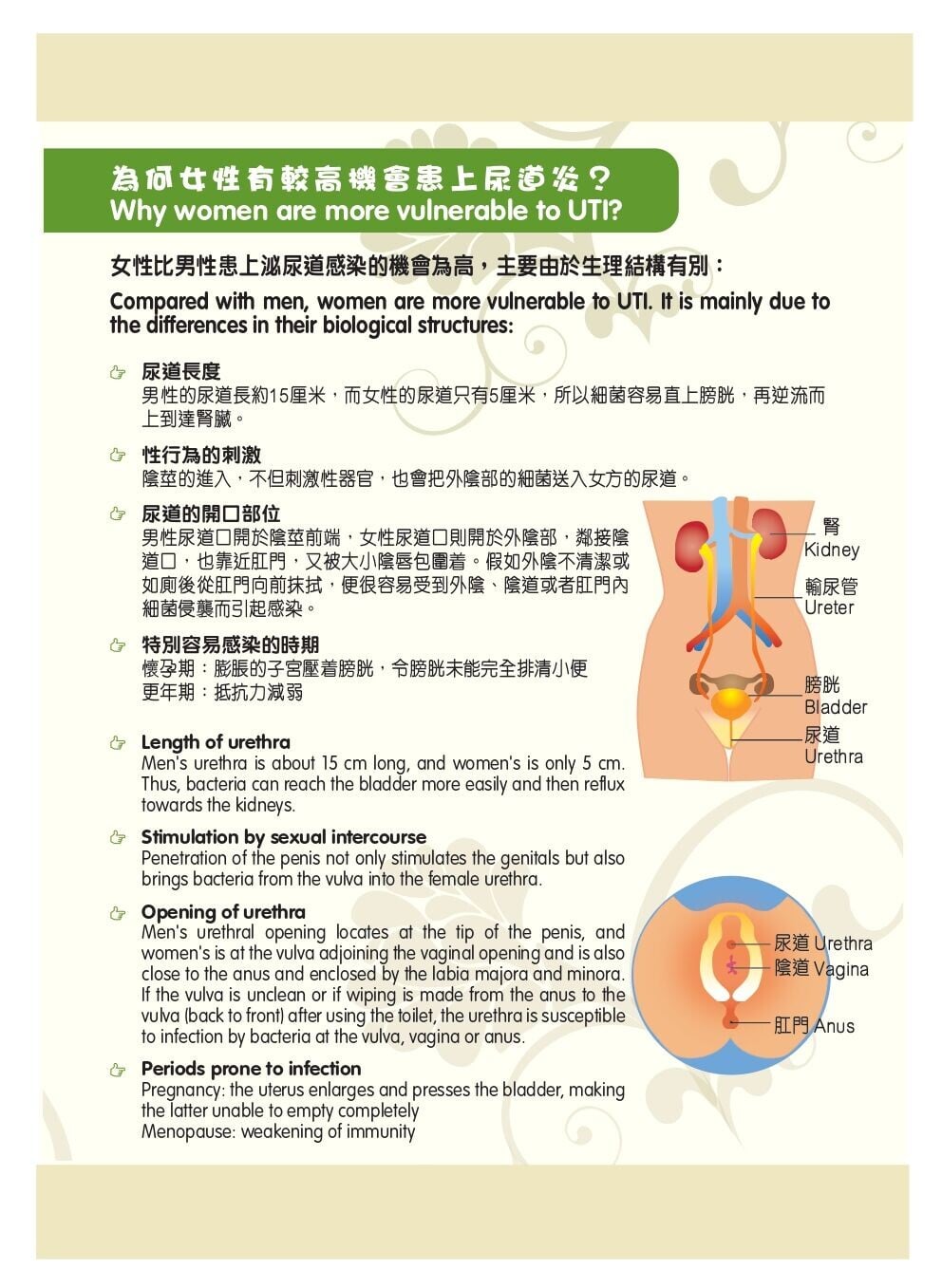 泌尿道感染原因/症狀/治療方法/預防方法(衛生署)
