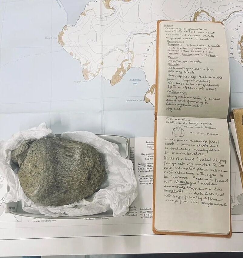 南極恐龍化石