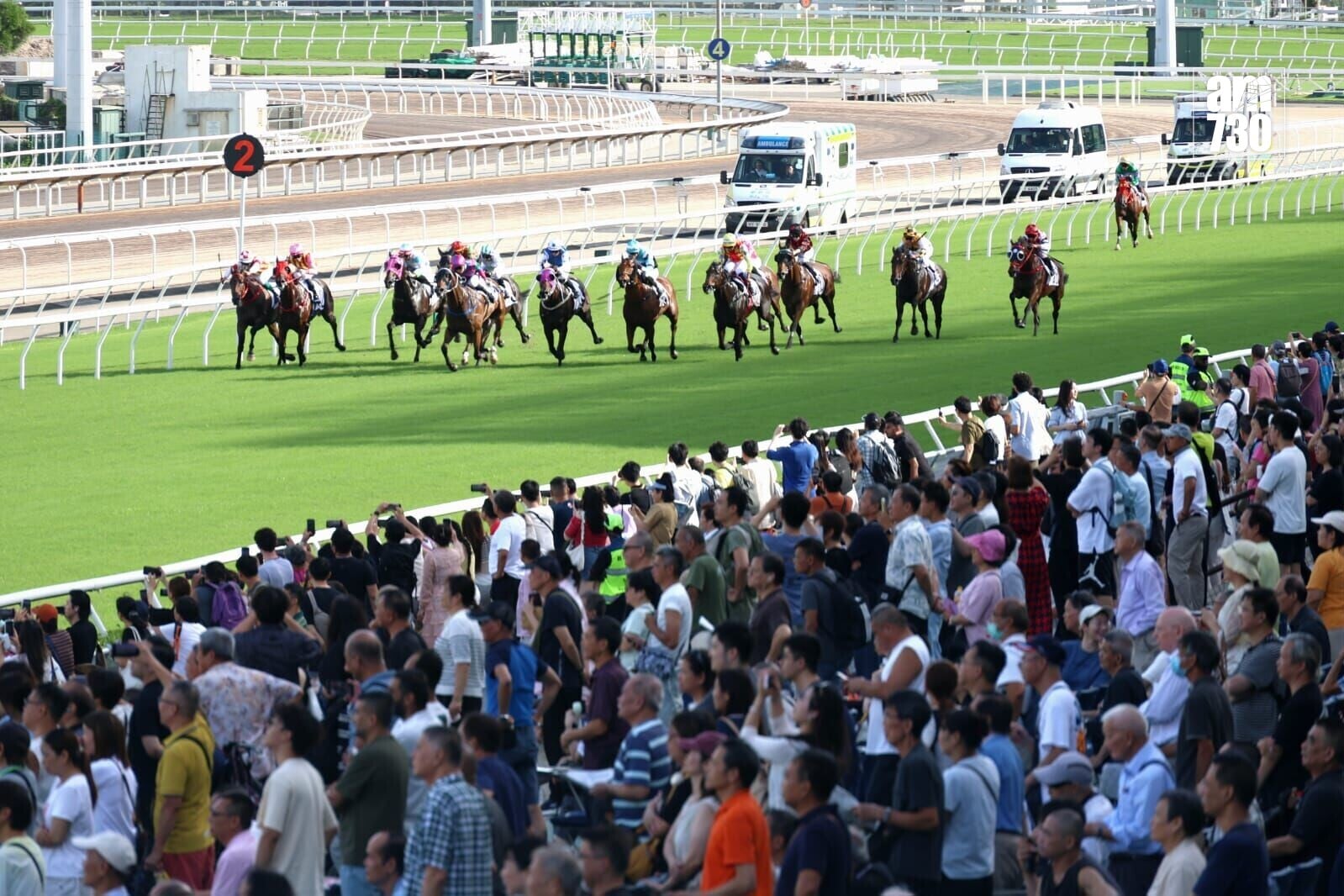 回歸賽馬日全日共有11場賽事(周令知攝)