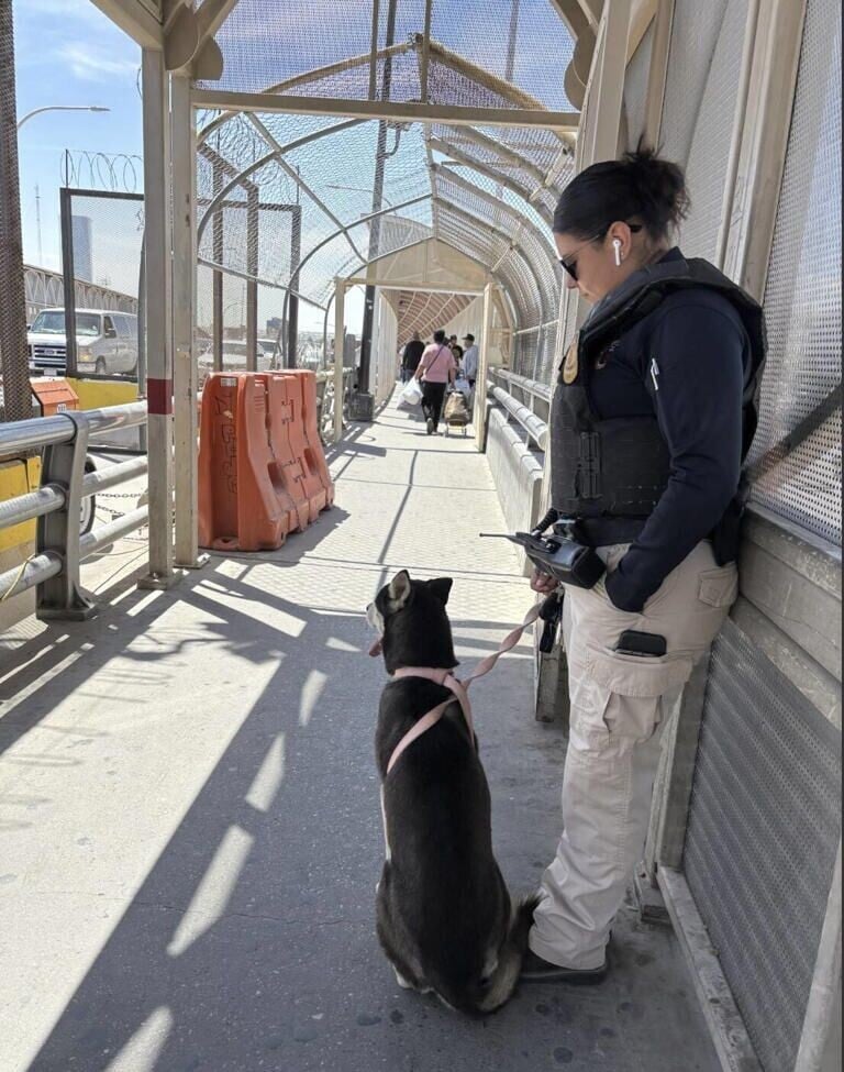 雙方在美墨邊境橋中央完成交接Bruno。(FB)