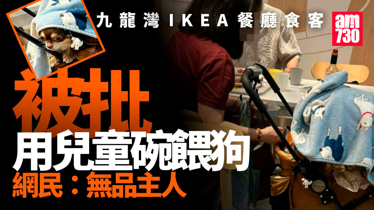IKEA九龍灣餐廳食客兒童碗餵狗　網民斥無衞生意識
