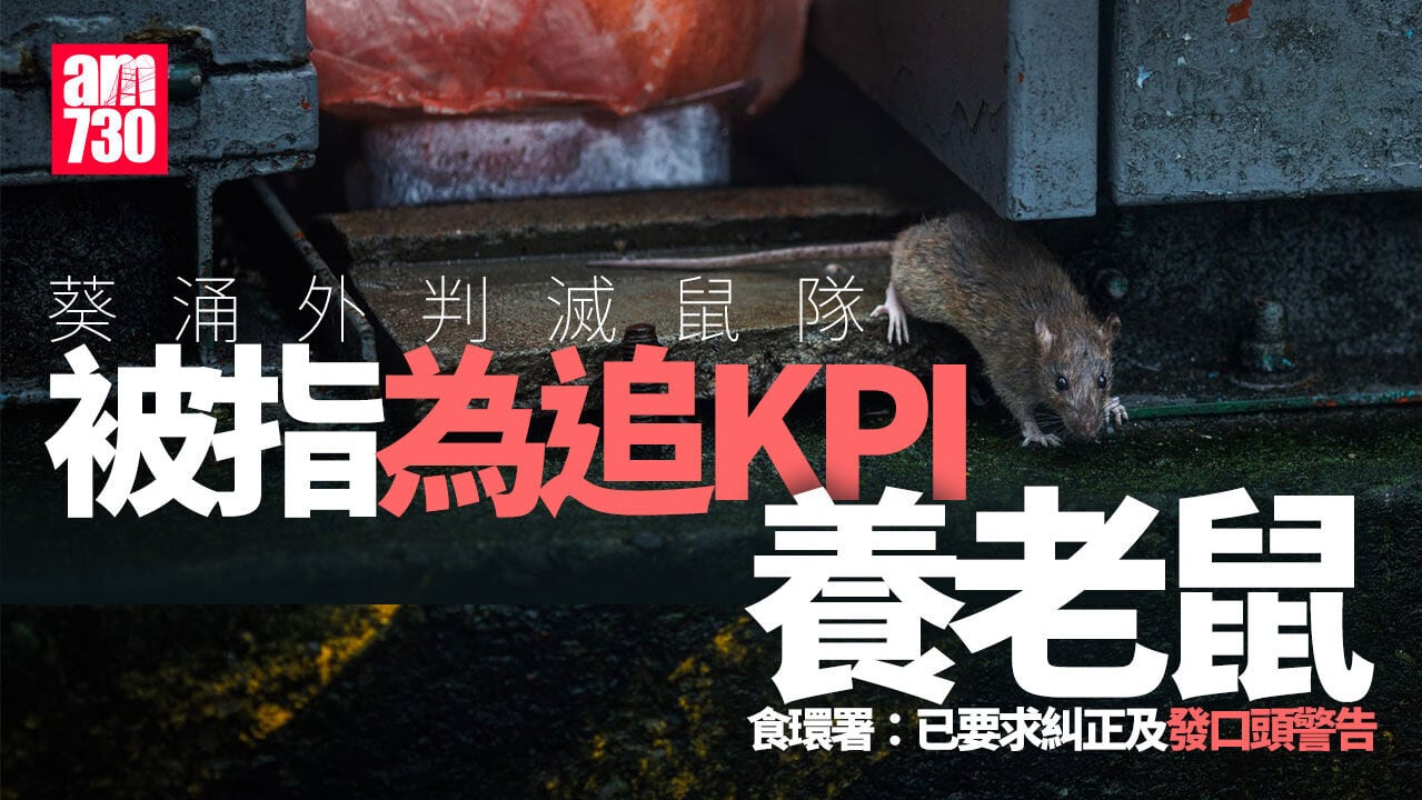 外判滅鼠隊被指養老鼠「交數」　食環署：已要求糾正及發口頭警告