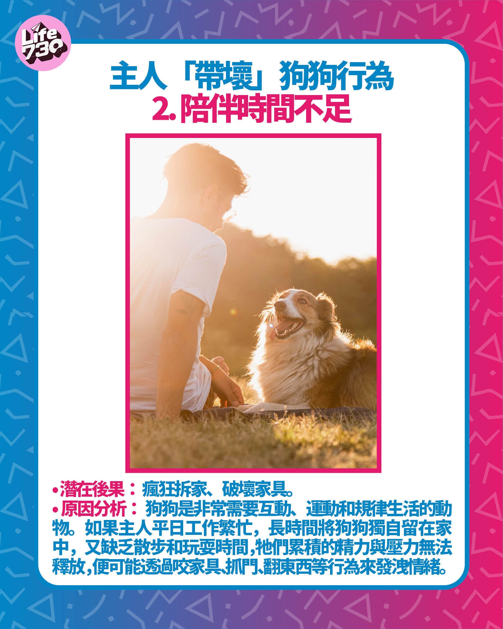 主人「帶壞」狗狗行為2. 陪伴時間不足