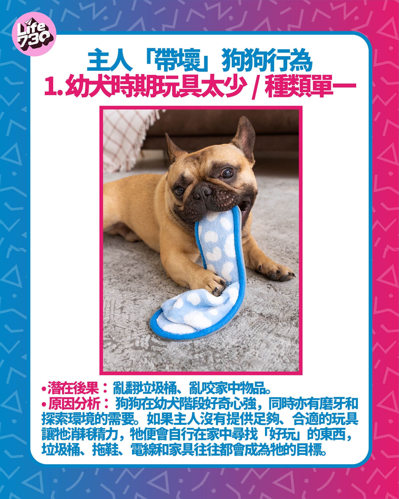主人「帶壞」狗狗行為1. 幼犬時期玩具太少、種類單一