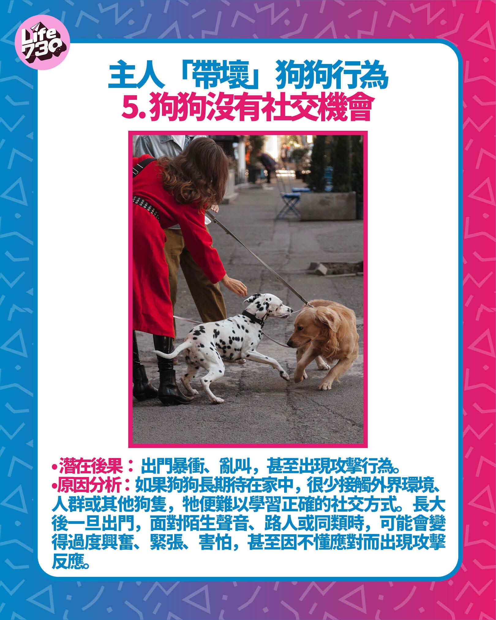 主人「帶壞」狗狗行為5. 狗狗沒有社交機會