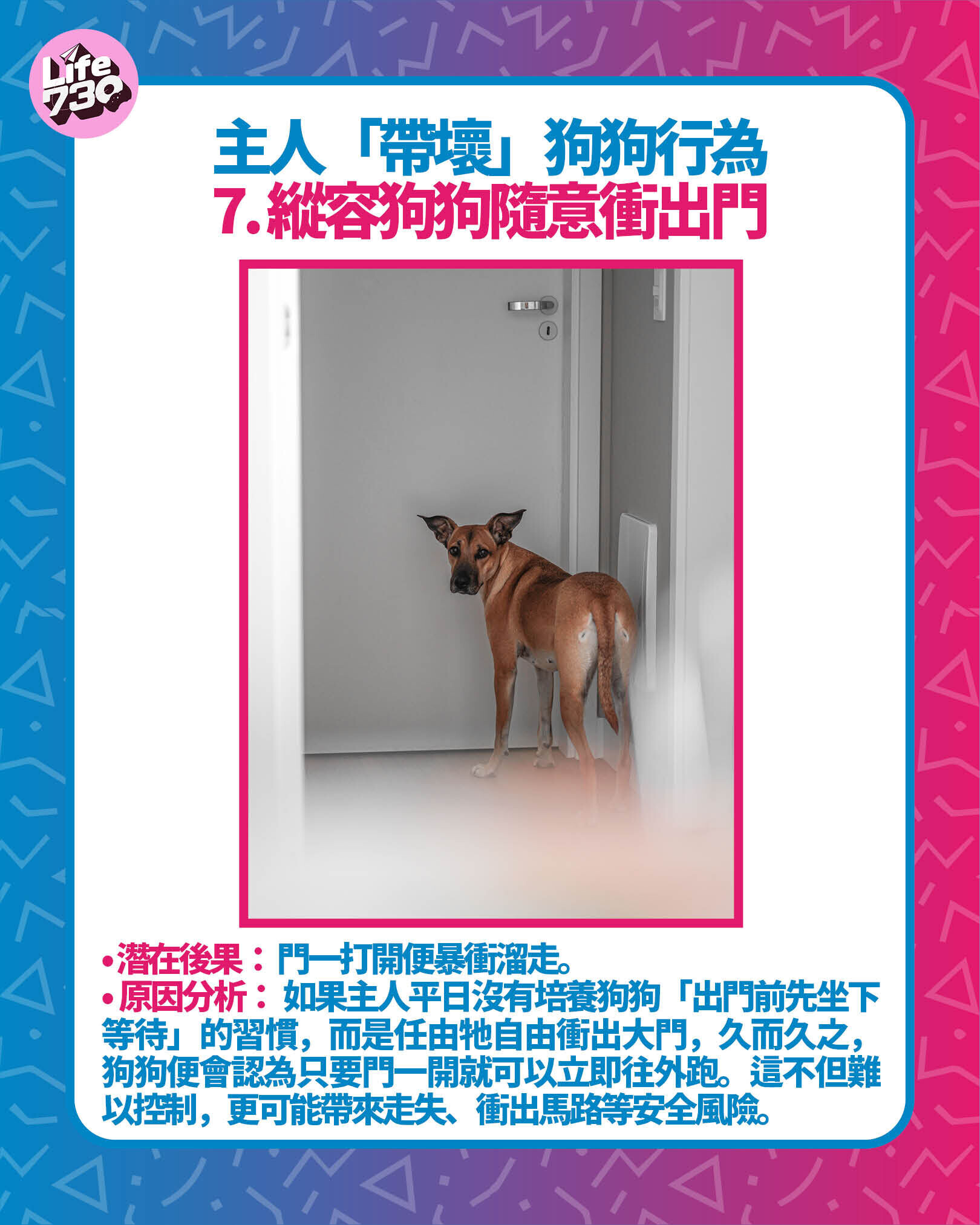 主人「帶壞」狗狗行為7. 縱容狗狗隨意衝出門