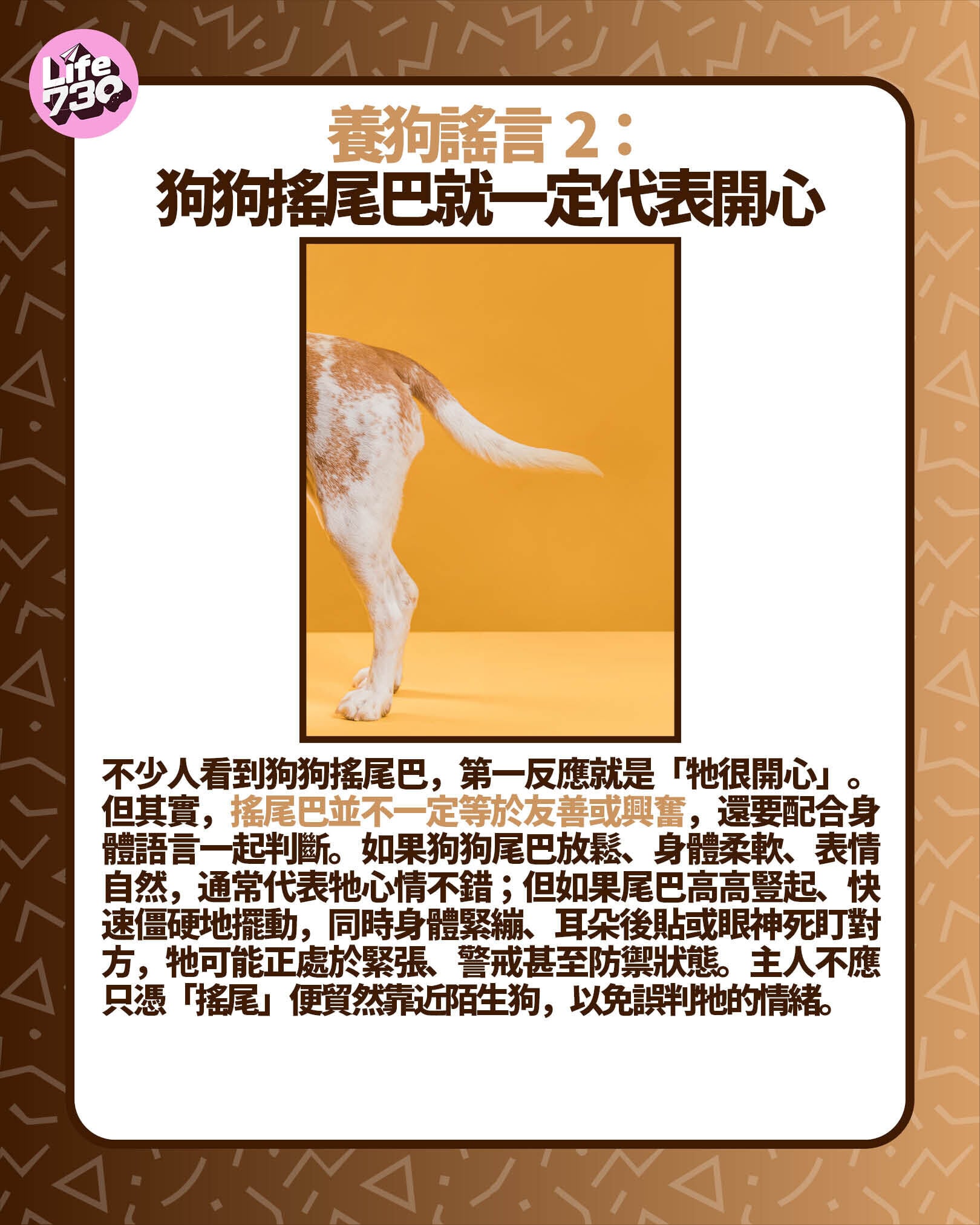 養狗謠言2:狗狗搖尾巴就一定代表開心