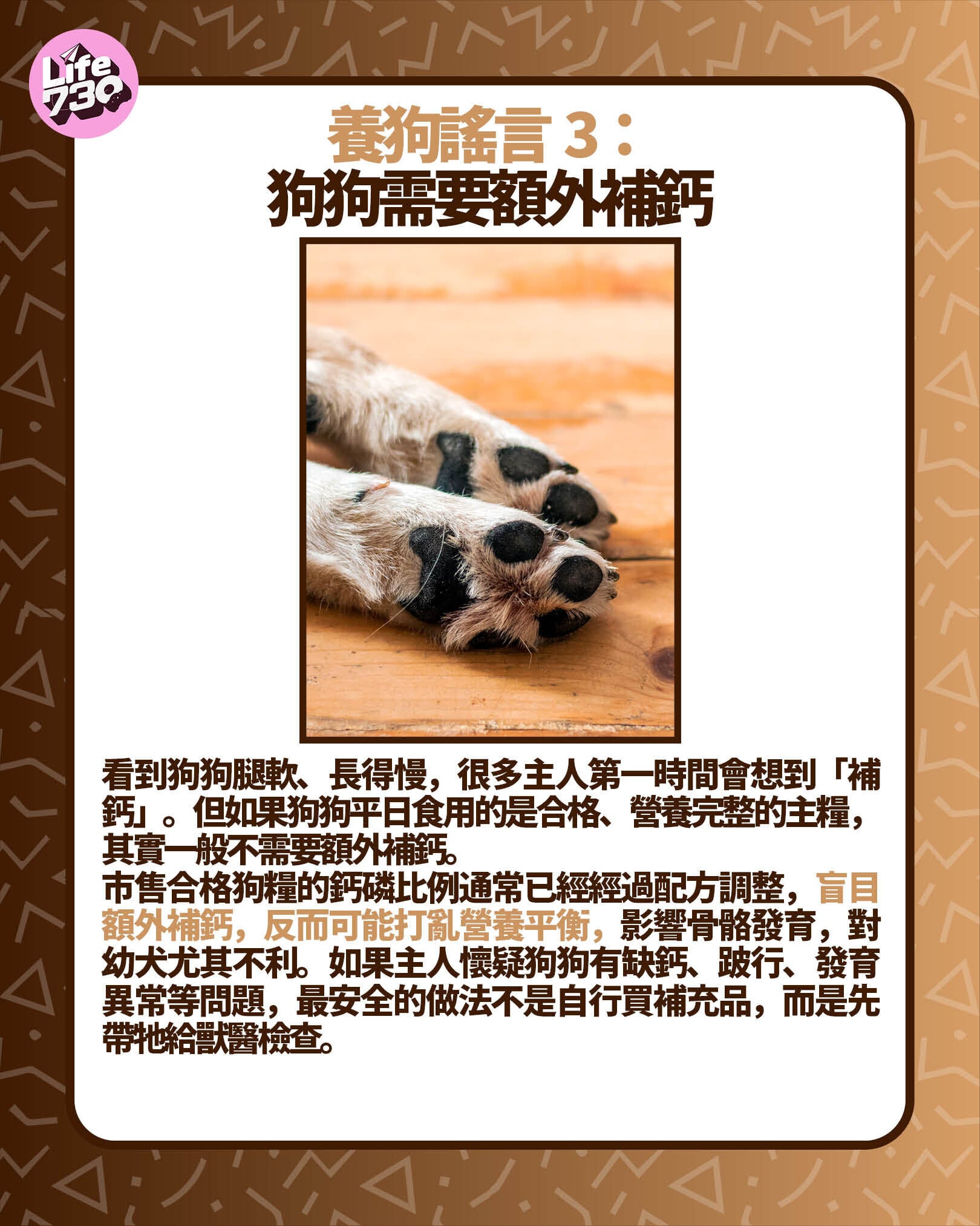 養狗謠言3:狗狗需要額外補鈣