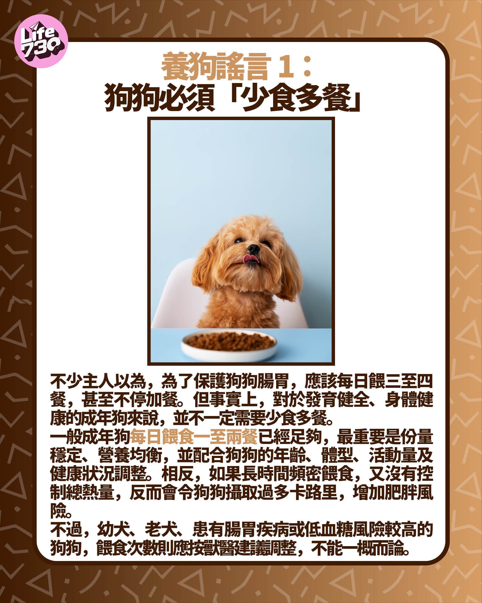 養狗謠言1:狗狗必須「少食多餐」
