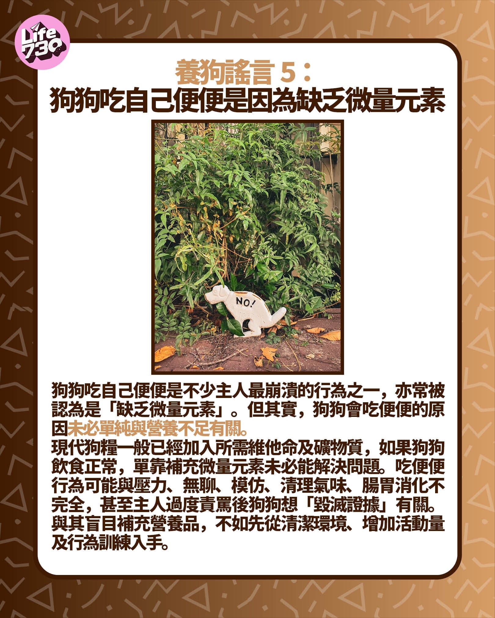 養狗謠言5:狗狗吃自己便便是因為缺乏微量元素