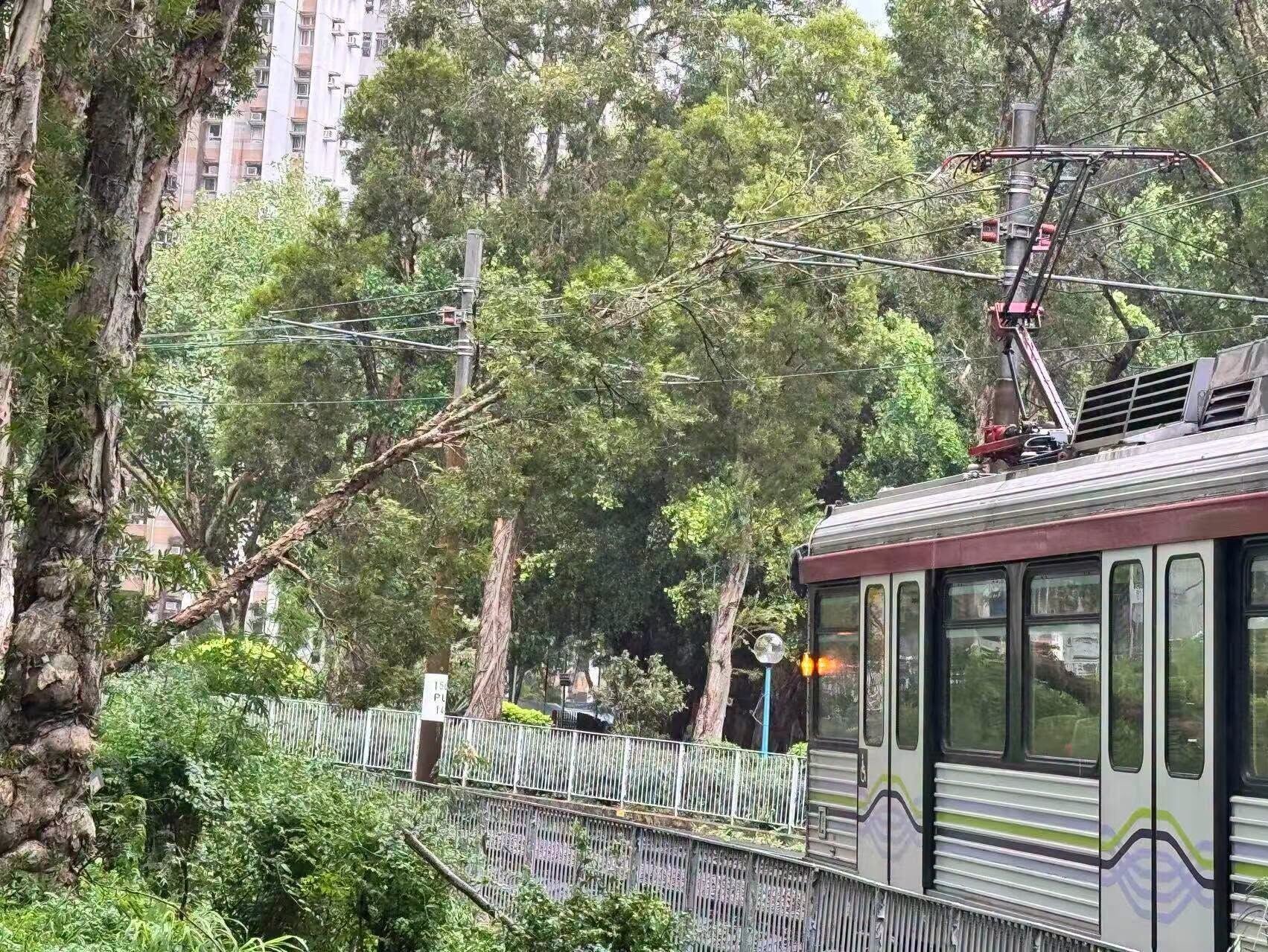 港鐵今日(7月3日)下午3時01分表示,受塌樹影響,良景站附近的輕鐵服務暫停。(屯門友FB)
