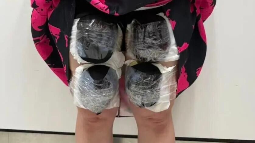 被查獲的走私烏龜。（圖／翻攝《京報網》）