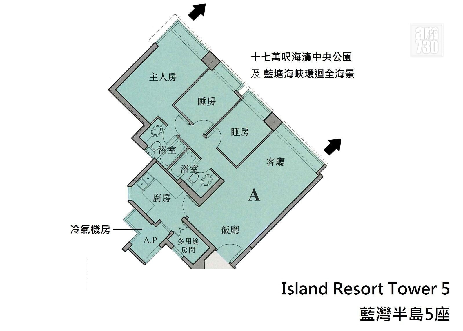 315 (10)