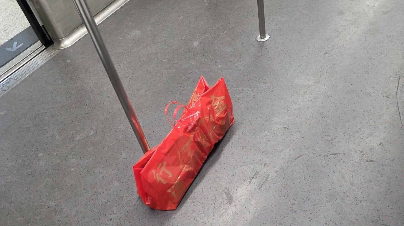 港鐵東涌綫車廂有乘客遺下原隻乳豬(FB「香港乳豬乳鴿關注組」圖片)