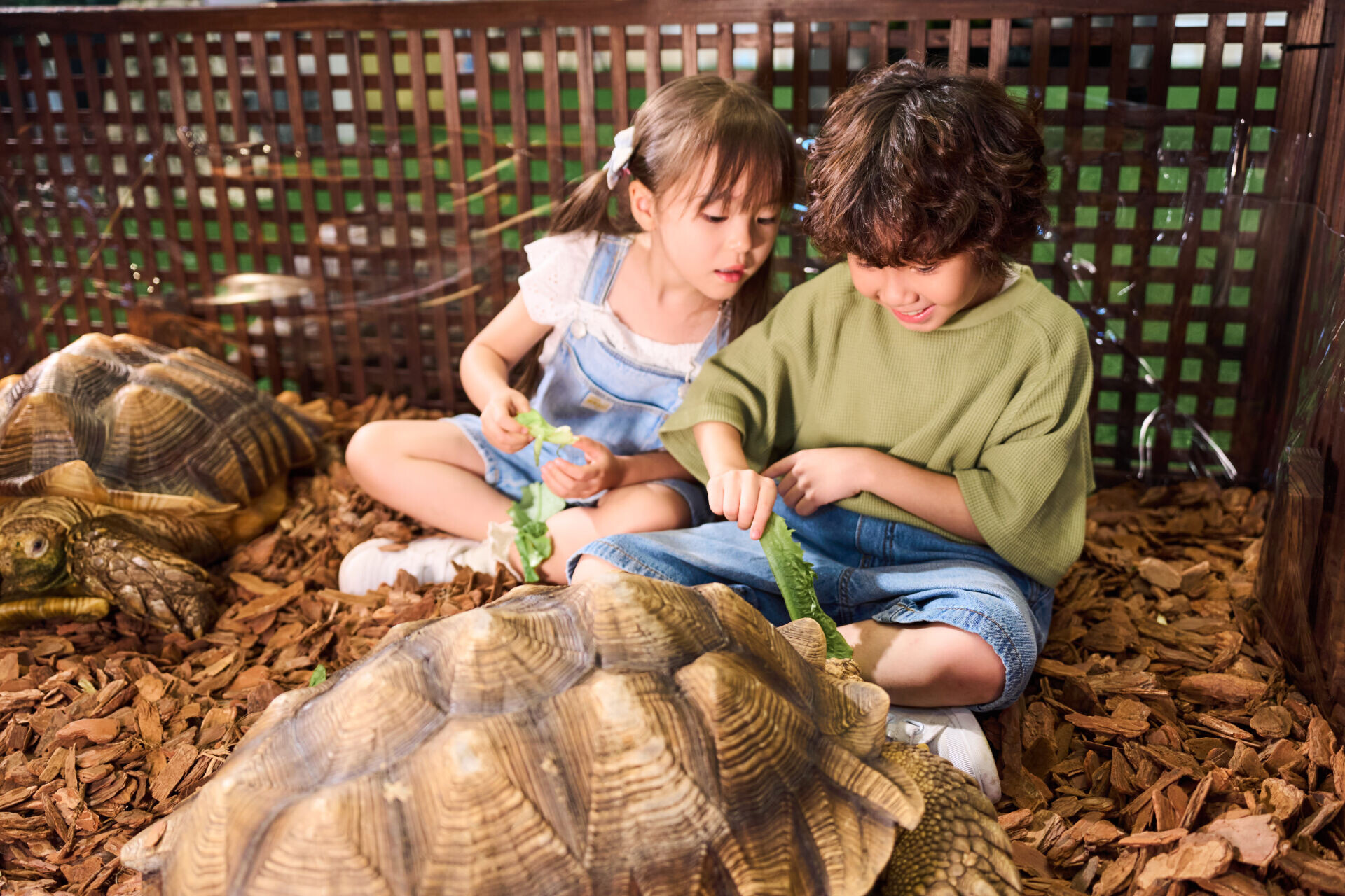 合和商場「另類寵物世界Exotic Pets World」7.25載譽回歸 升級打造連續25日沉浸式異寵生態互動學習體驗 (4) (1)