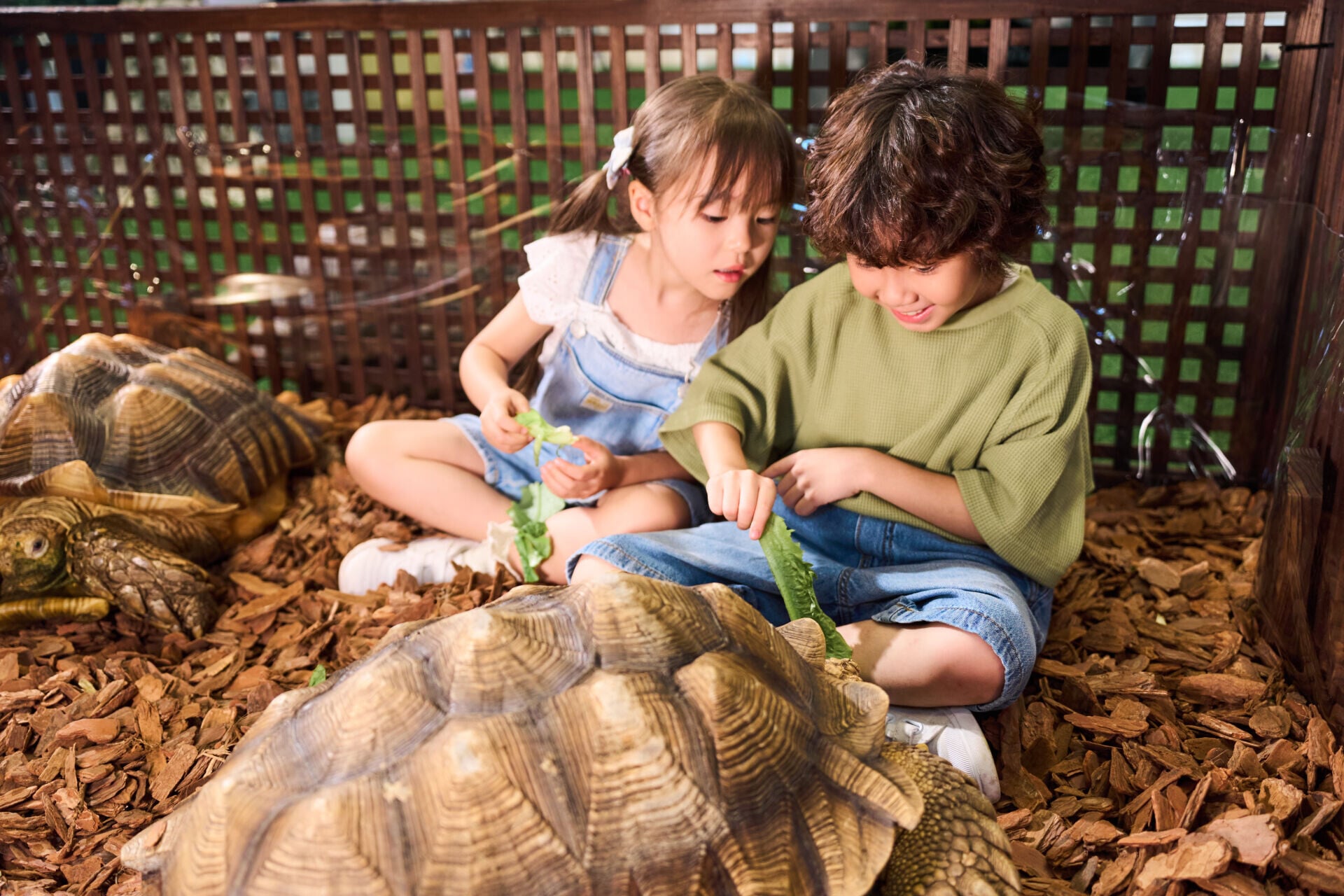 合和商場「另類寵物世界Exotic Pets World」7.25載譽回歸 升級打造連續25日沉浸式異寵生態互動學習體驗 (4) (1)