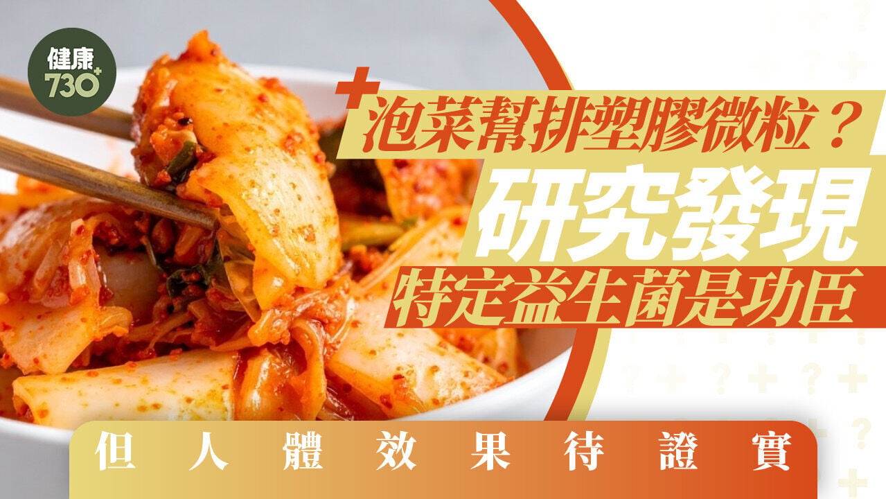 泡菜幫排塑膠微粒？研究發現特定益生菌是功臣 但人體效果待證實