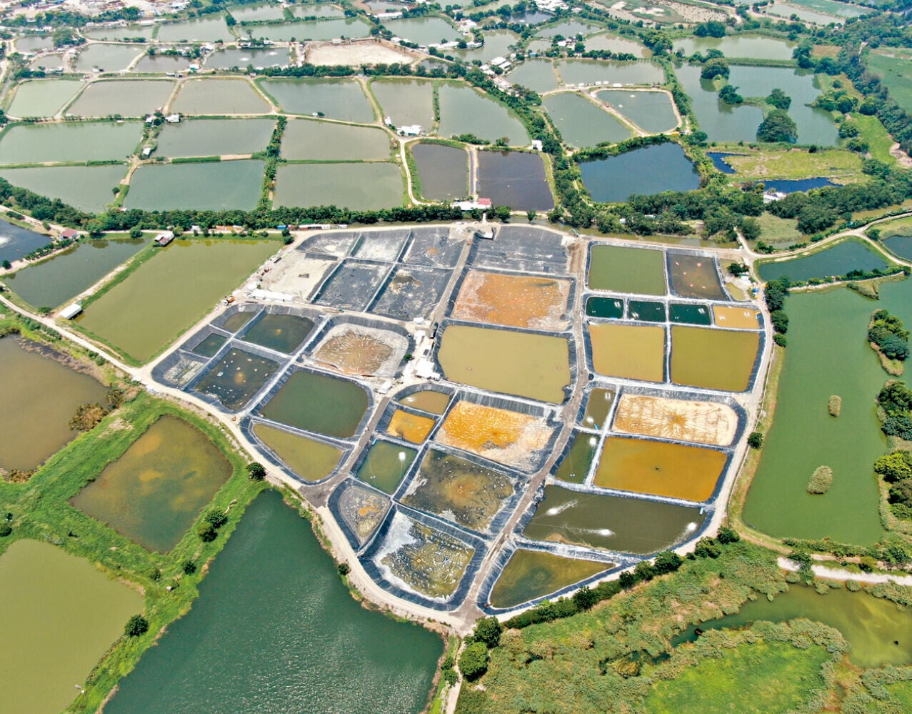 13.3公頃三寶樹濕地遭改建工廠式養殖場 綠色和平促加強法定保護地位