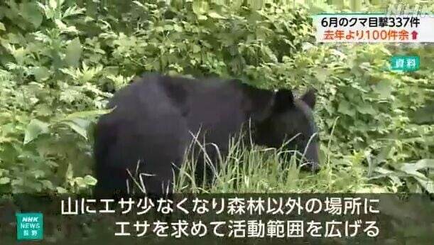 日本熊出沒