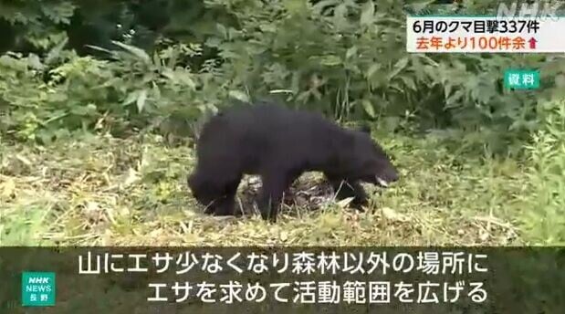日本熊出沒
