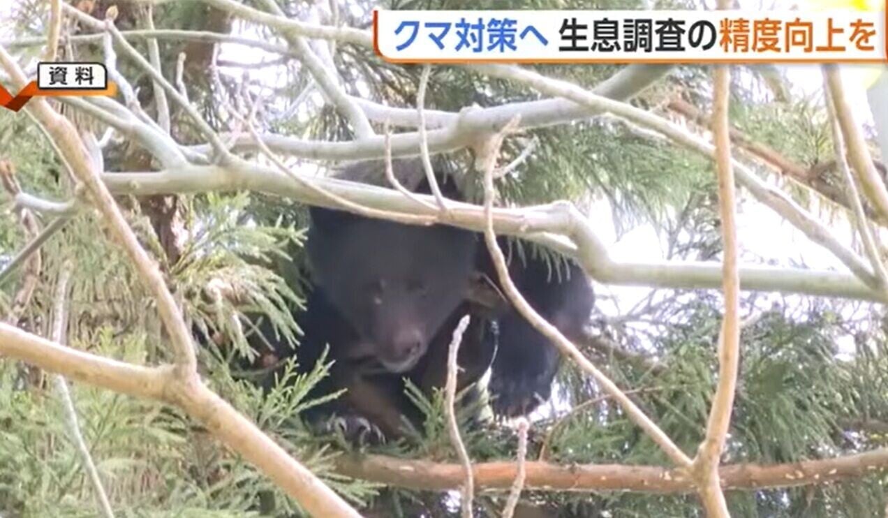 日本熊出沒