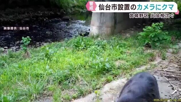 日本熊出沒