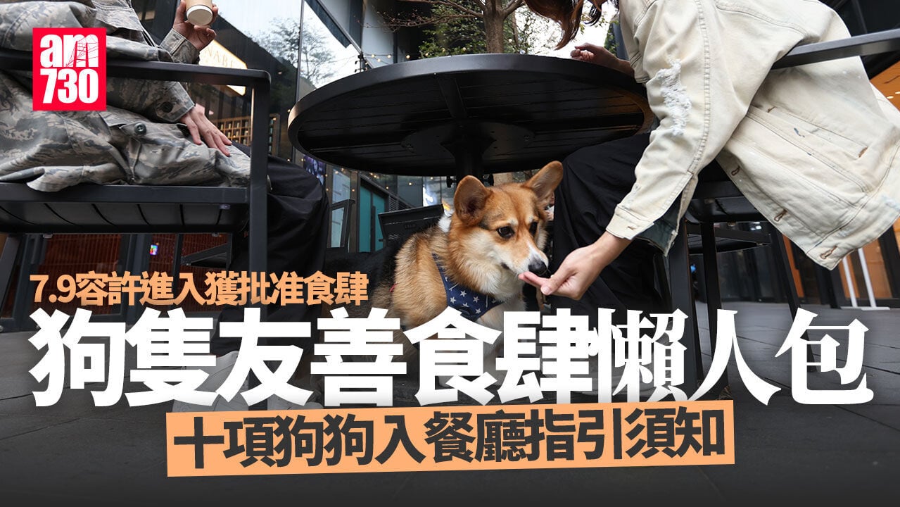 狗隻入食肆懶人包｜狗主守則一文睇清　3類食肆仍禁入 (附狗隻友善餐廳名單)