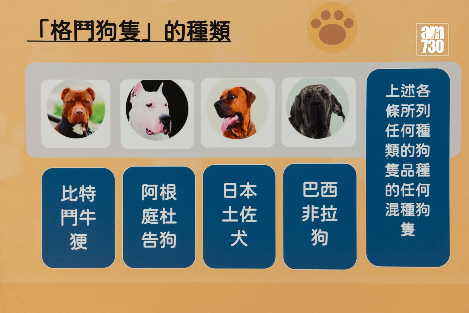 食環署早前就容許狗隻進入獲准食肆舉辦業界簡介會。(資料圖片/蘇文傑攝)
