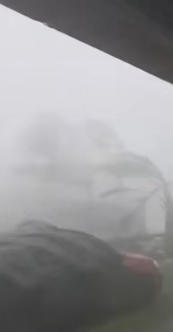 颱風巴威