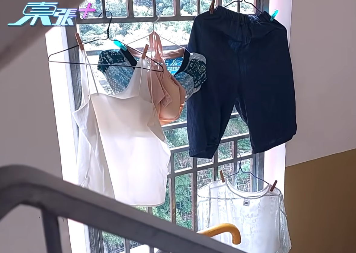無綫節目《東張西望》報道,位於石硤尾的一幢公屋,該對被稱為「野人父子」的三口住戶涉將後樓梯改造成「私竇」,擺放大量雜物及日常用品,行為已達數月。(東張西望)