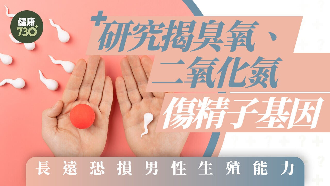 研究：空氣污染影響精子基因 長遠或影響男性生殖殖能力