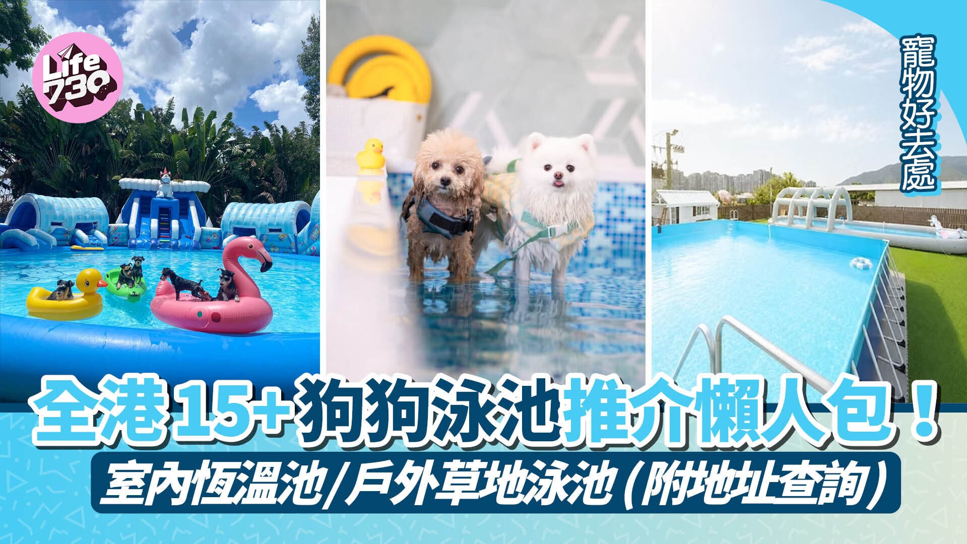 寵物好去處｜全港15+狗狗泳池推介懶人包！  室內恆溫池/戶外草地泳池 (附地址查詢)