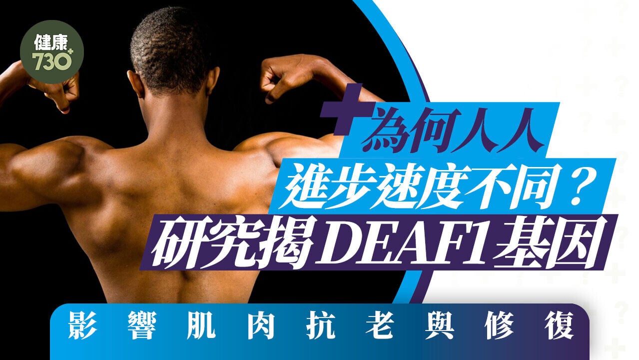 運動｜為何人人進步速度不同？研究揭DEAF1基因影響肌肉抗老與修復