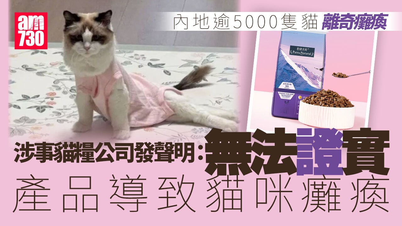 逾5000隻貓離奇癱瘓 內地高端貓糧捲食安疑雲
