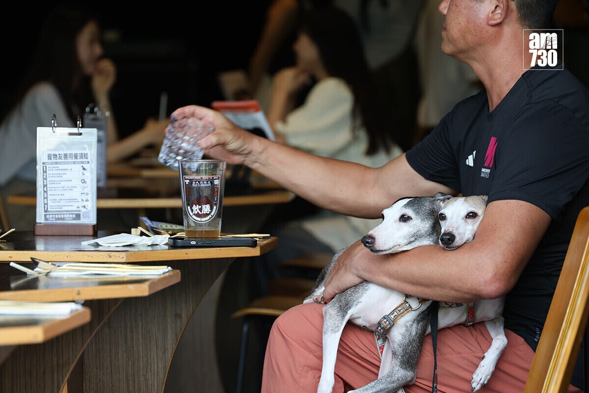 准許狗隻進入食肆措施已推出。(資料圖片/周令知攝)