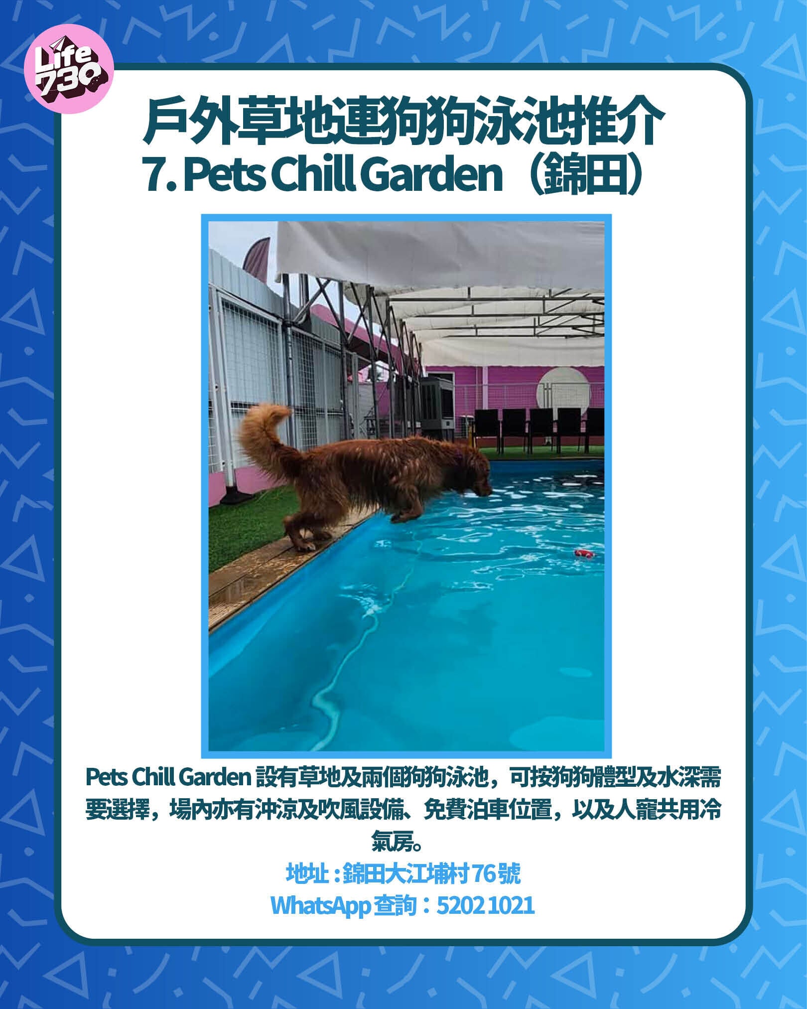 戶外草地連狗狗泳池推介 7. Pets Chill Garden(錦田)