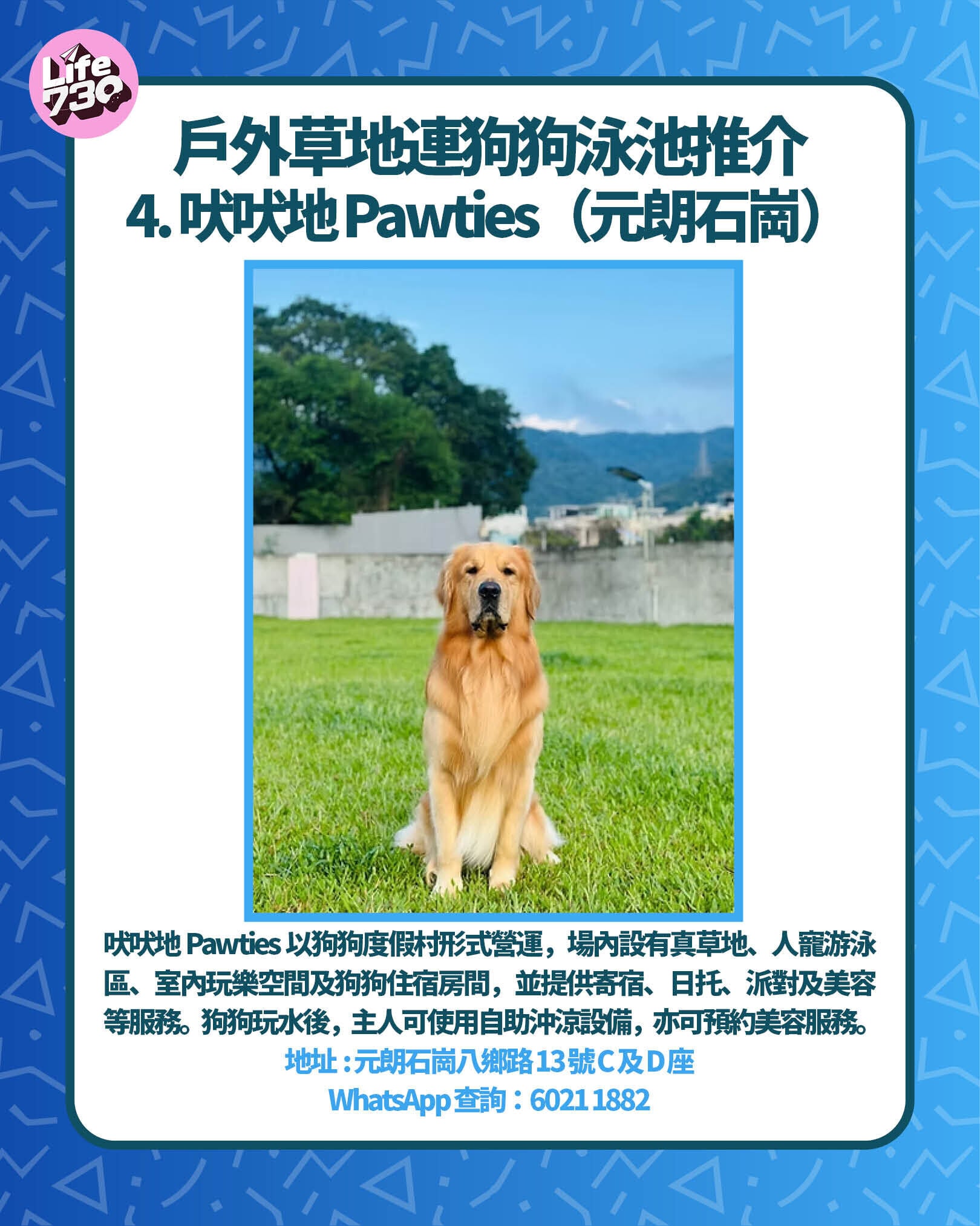 戶外草地連狗狗泳池推介 4. 吠吠地 Pawties(元朗石崗)