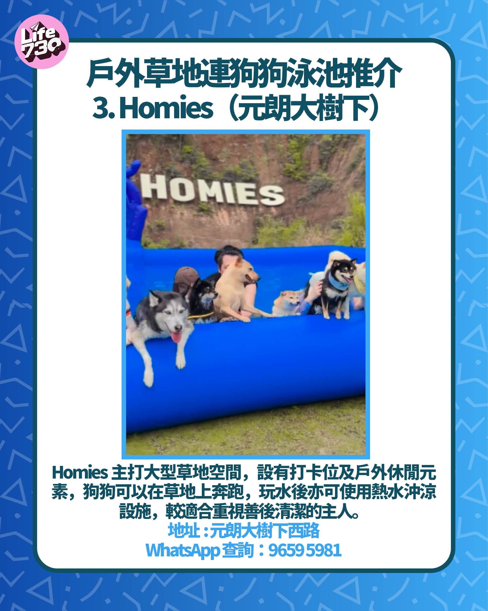 戶外草地連狗狗泳池推介3. Homies(元朗大樹下)