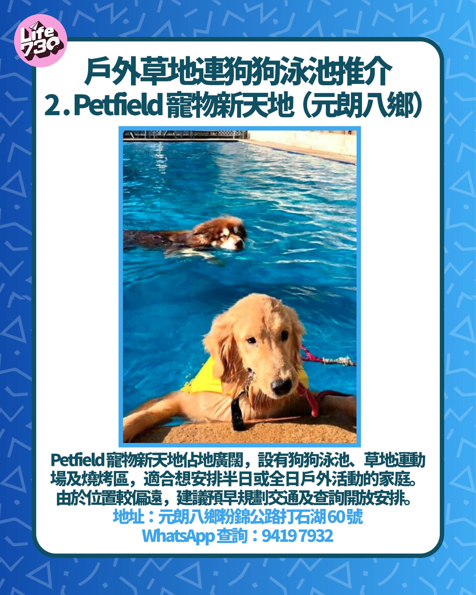 戶外草地連狗狗泳池推介2 . Petfield 寵物新天地(元朗八鄉)