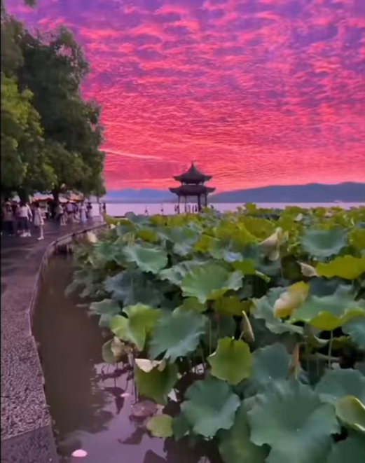 颱風巴威