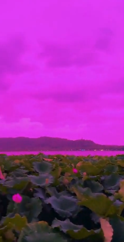 颱風巴威