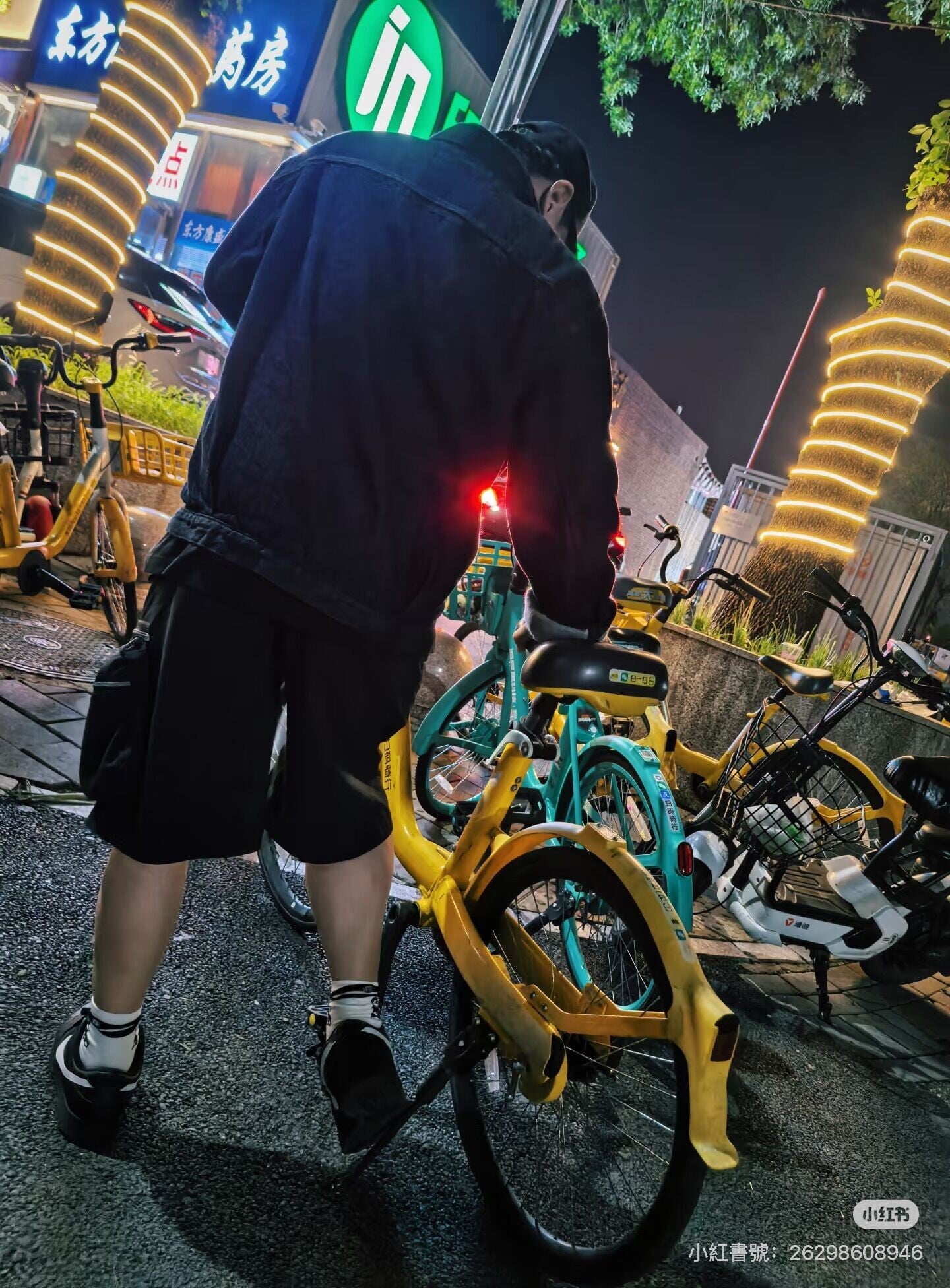 IMG 4501