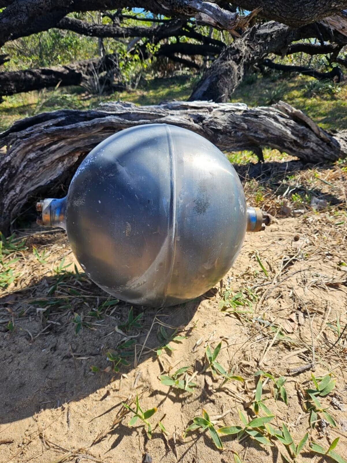 澳洲沙灘金屬球