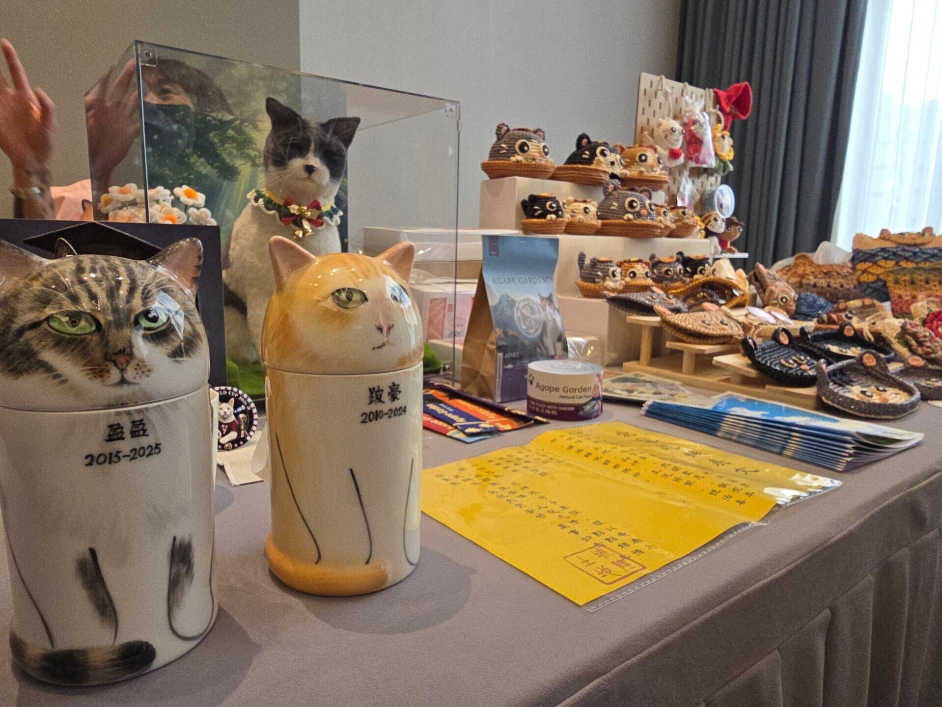 香港貓迷博覽會月底開鑼 調查:港人每月養貓花費創新高 「貓銀髮經濟」正形成 (李朗僑攝)