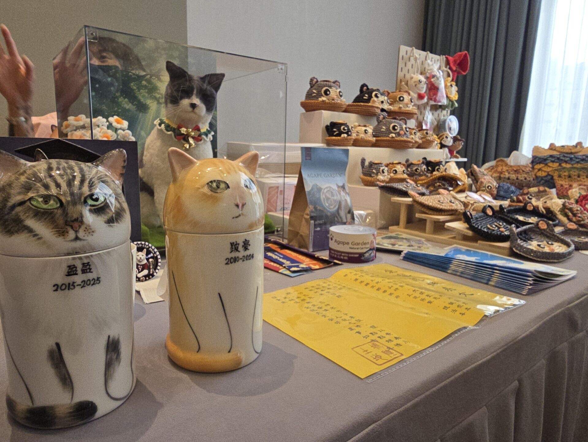 香港貓迷博覽會月底開鑼 調查:港人每月養貓花費創新高 「貓銀髮經濟」正形成 (李朗僑攝)