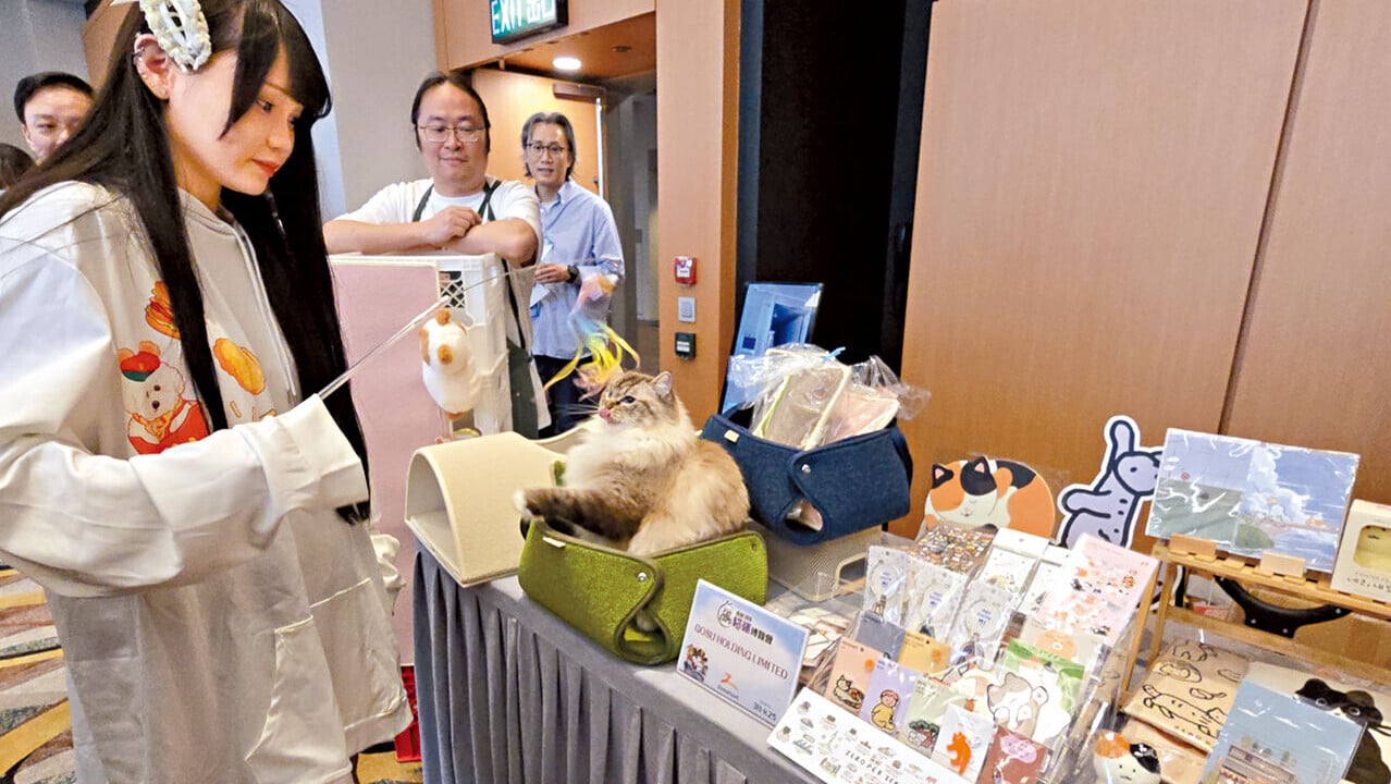 香港貓迷博覽會將推出一系列貓產品優惠。(李朗僑攝)